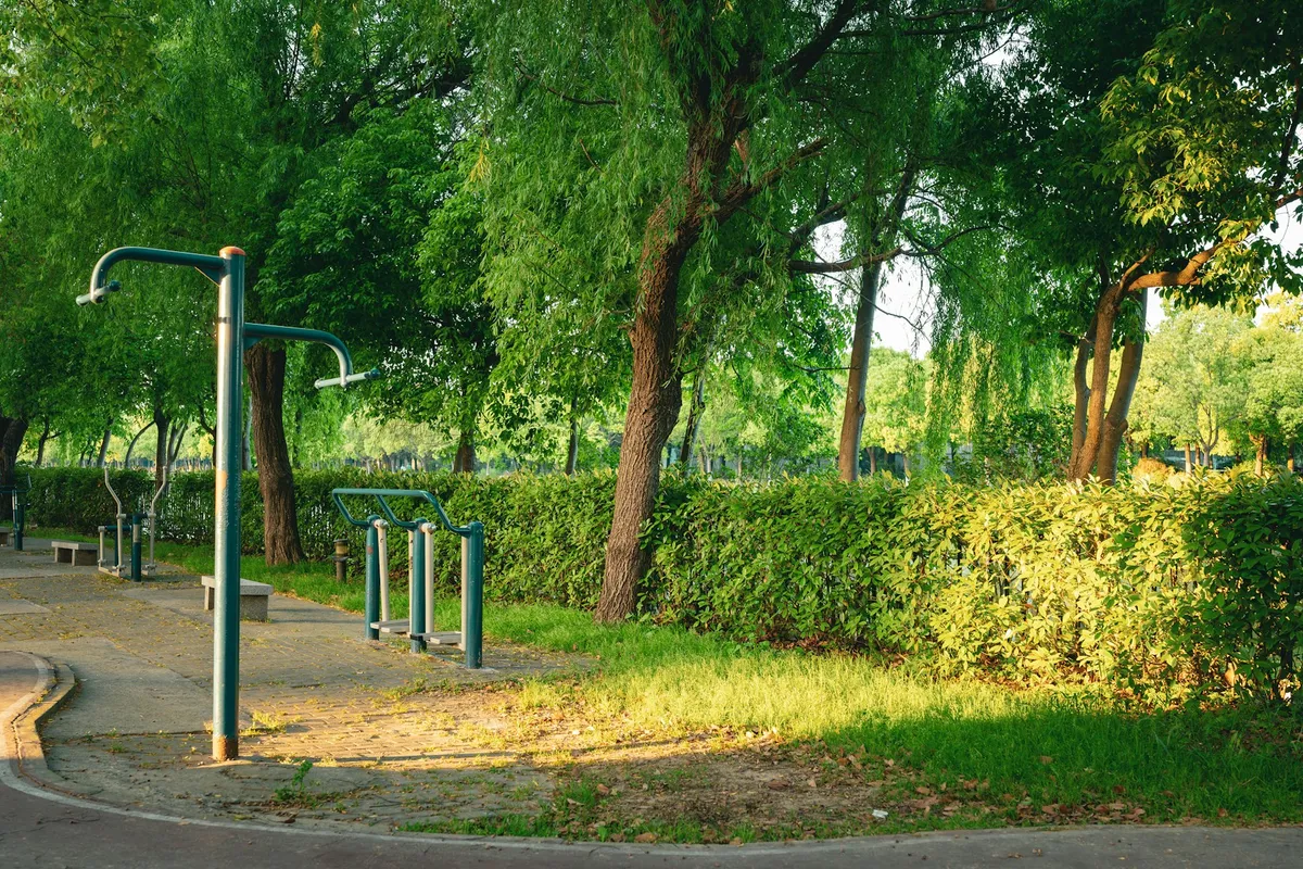 An outdoor fitness area with exercise bars among trees in a green park